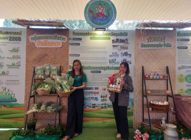 วันที่ 24 มกราคม 2568 นายกรกฎ ชยุตรารัตน์ ... พารามิเตอร์รูปภาพ 17